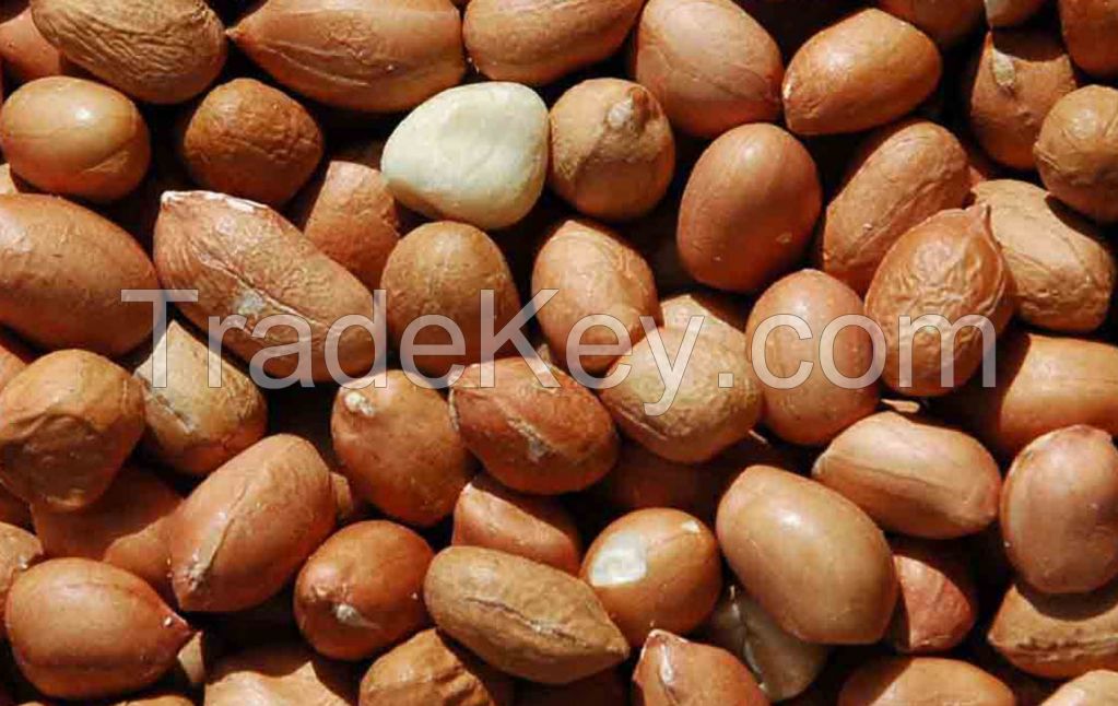 Grade A High Quality Peanut from Nigeria