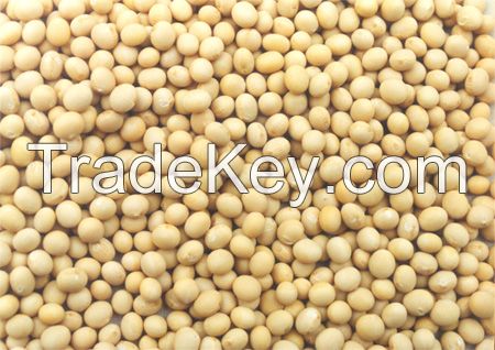 High Quality Grade A Soybeans from Nigeria