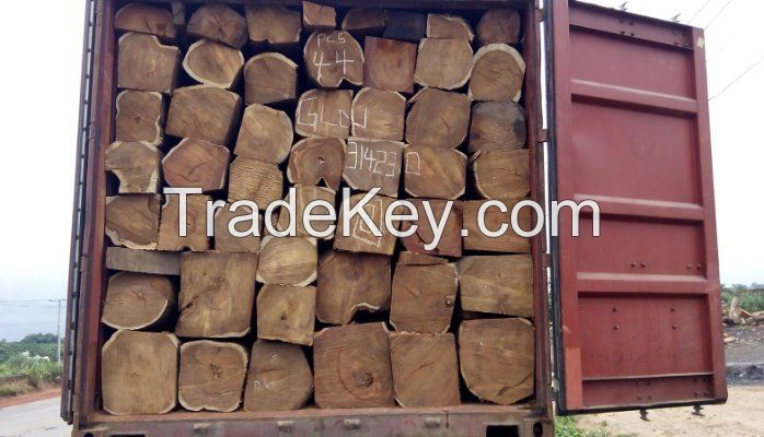 KOSSO WOOD | High Quality Kosso Tree Wood from Nigeria