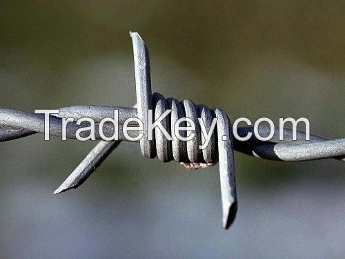 barbed wire 