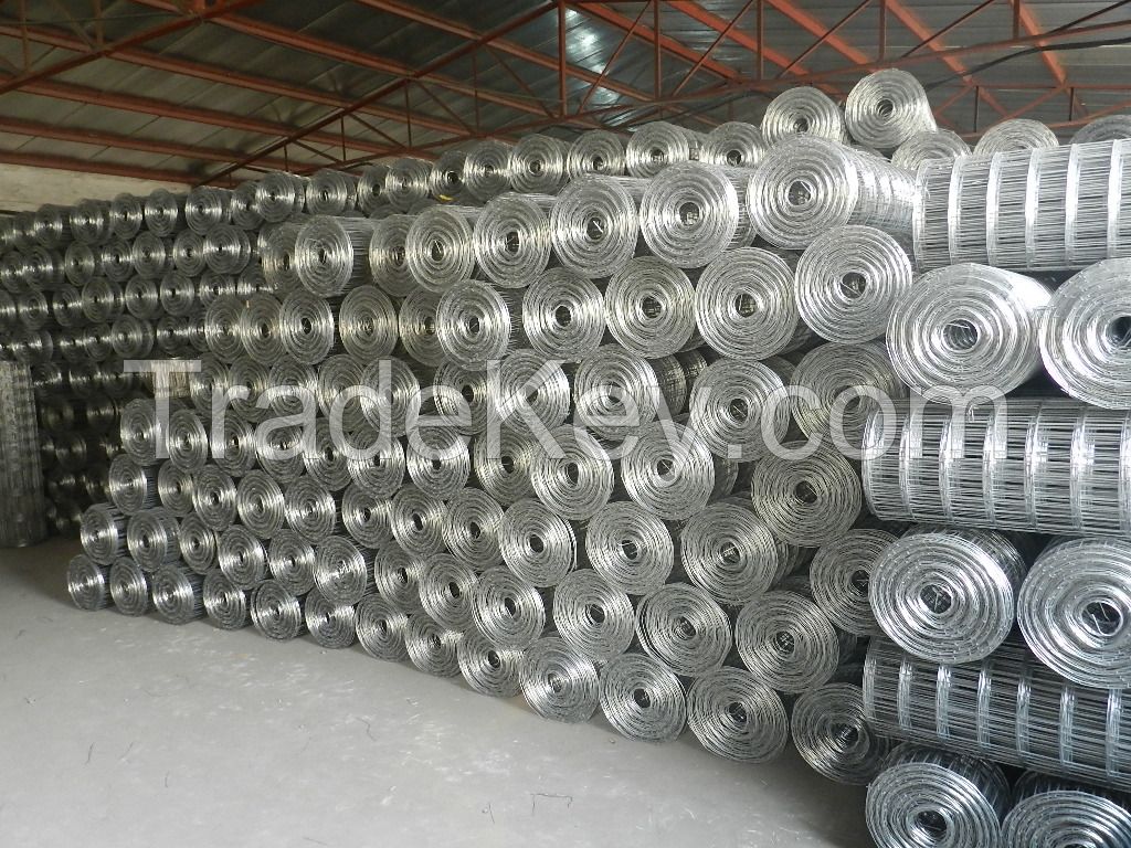 galvanized welded wire mesh