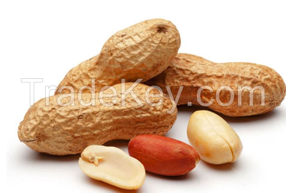 Groundnuts