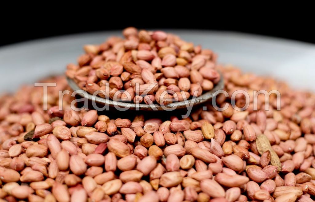 Groundnuts