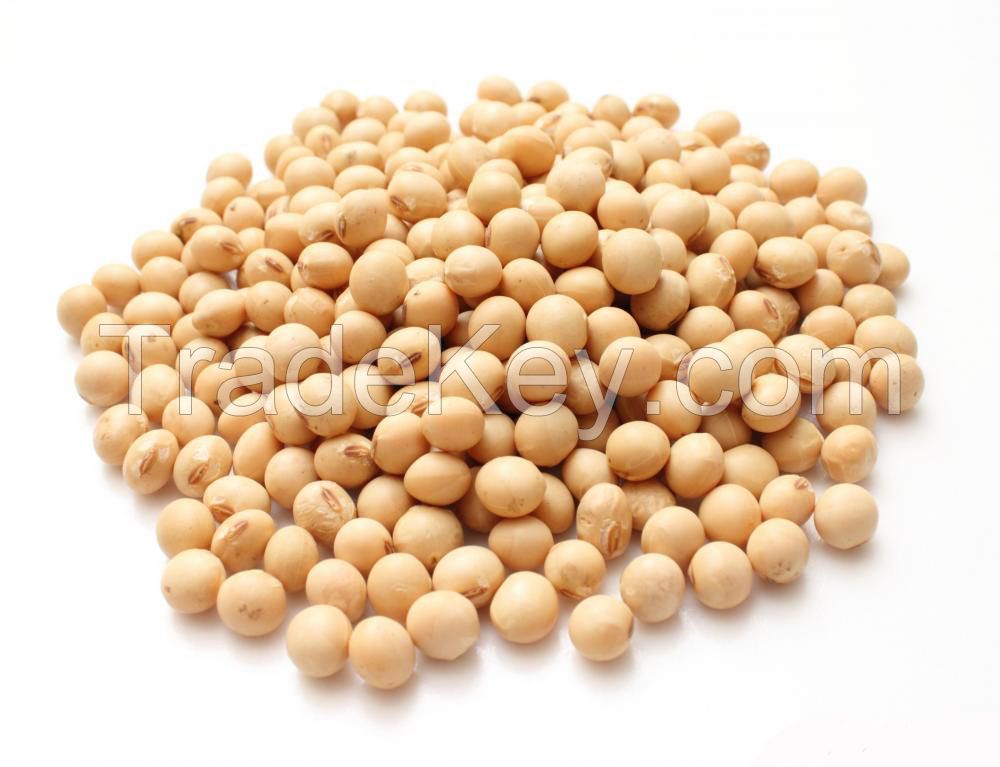 Soybeans