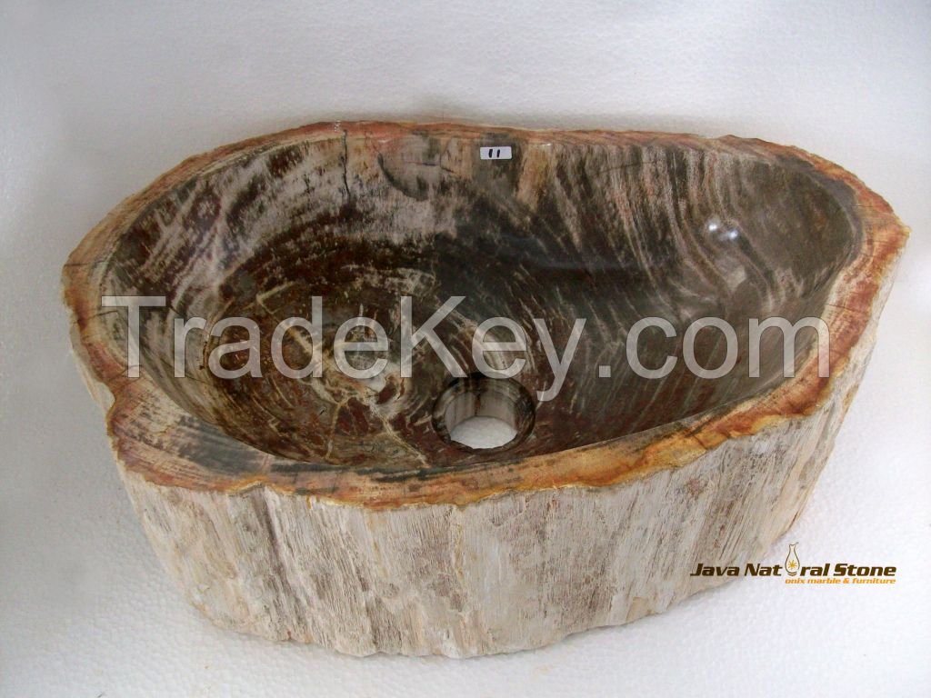 Fossil Wood Basins