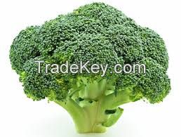 Fresh Broccoli