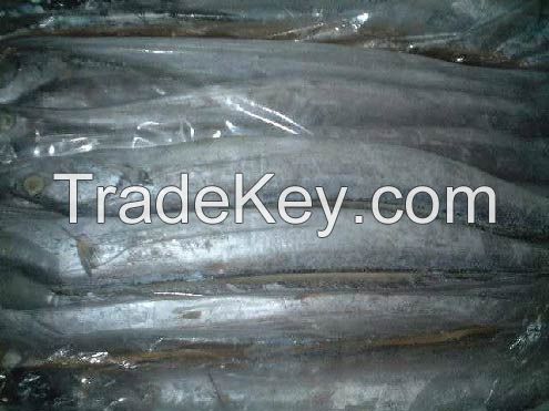 High Quality Frozen Ribbon Fish