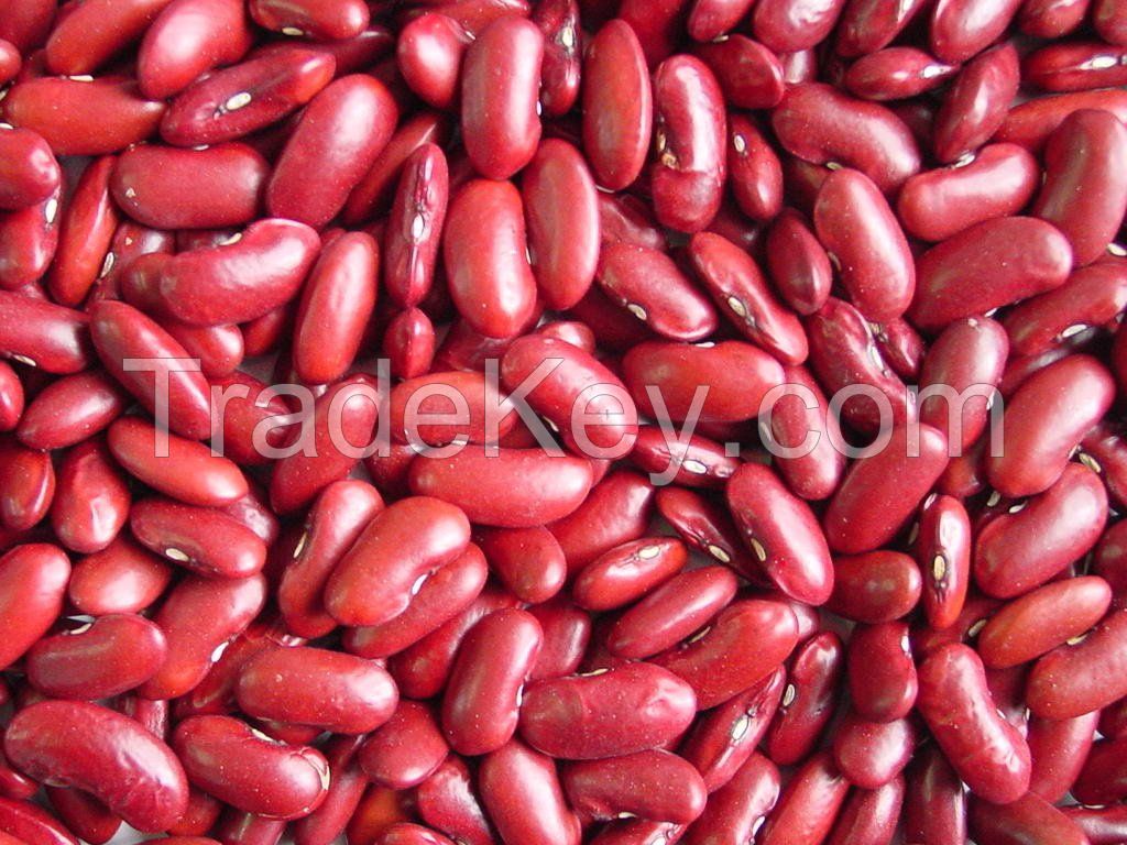 Red Kidney Beans