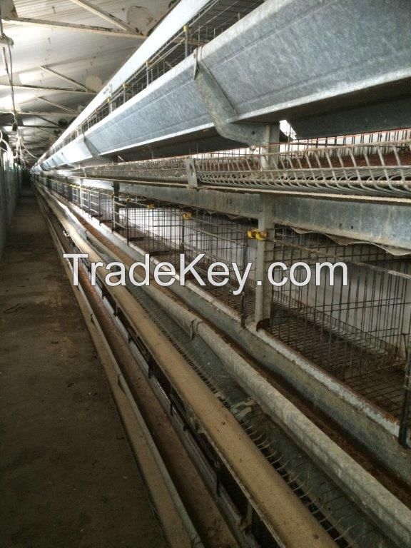 Used poultry battery cages