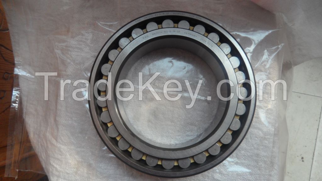 Double Row Cylindrical Roller Bearing NN3034