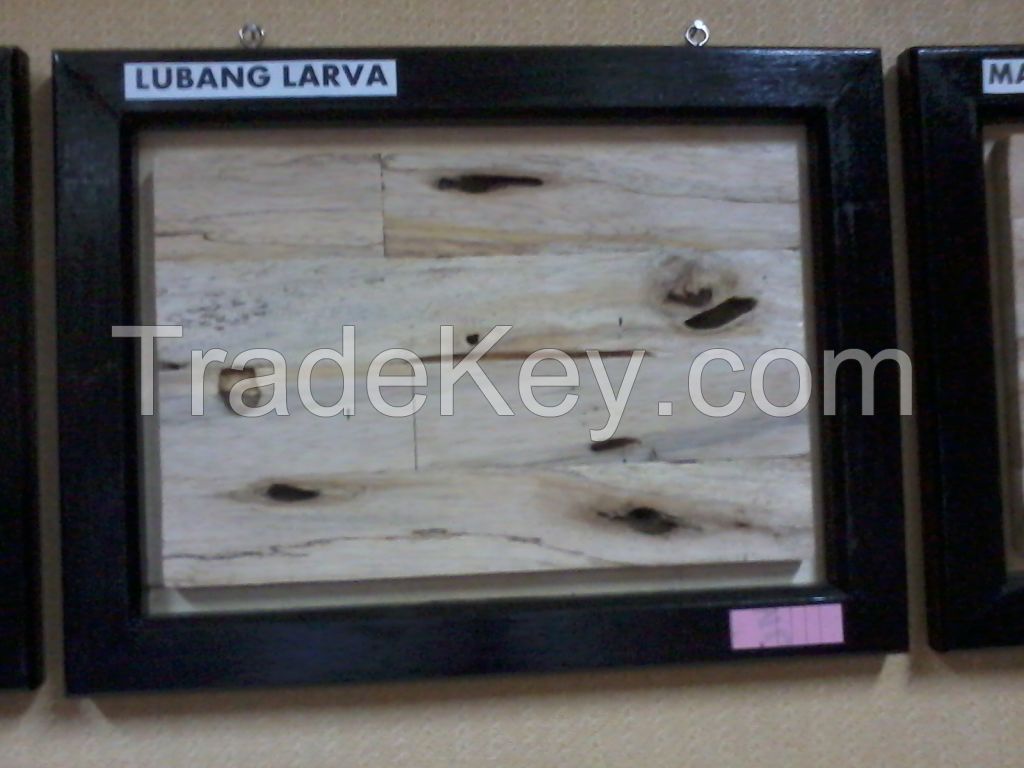 Plywood , Barecore , Pallets , Blockboard Falcata Albazia