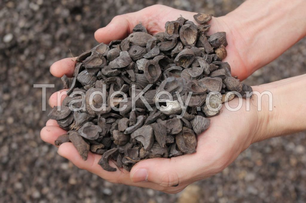 Palm Kernel Shell