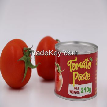 Homemade tomato paste