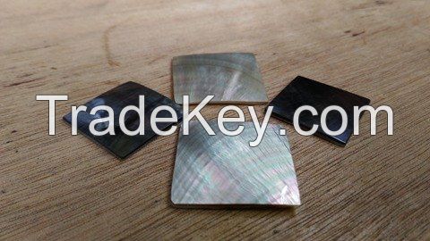 Sea Shell Inlays