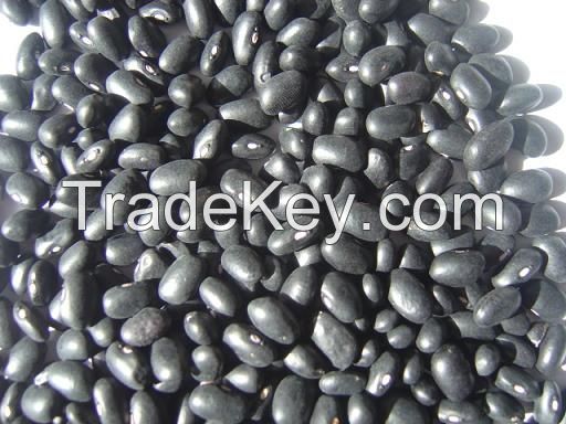 Black Kidney Beans