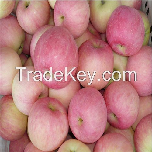 Hot Sell Fresh Apple