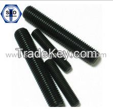 Thread Rod /Stud Bolt (DIN975 DIN976)