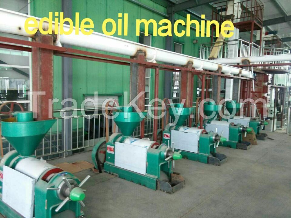 palm oil machine