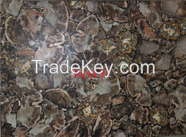 Stone slab petrified wood table sheet