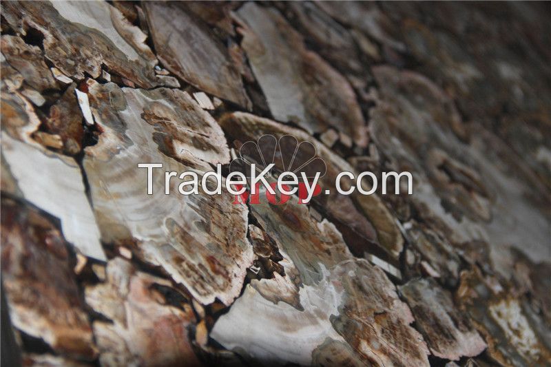 Stone slab petrified wood table sheet