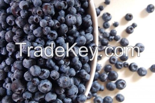 Organic Puree Bilberry (Vaccinium myrtillus)