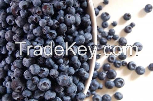 IQF Organic Bilberries Grade &quot;A&quot;