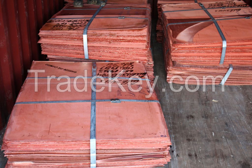 Copper Cathode