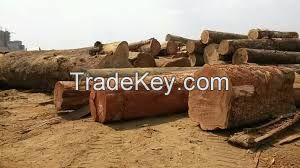 Tropical Woods Logs Teak Bubinga Sapele Mahogany Iroko