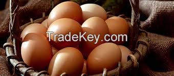 Farm Fresh Chicken Brown &amp; White Table Eggs