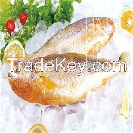 Flake ice maker with high quality