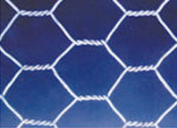 Hexagonal wire netting