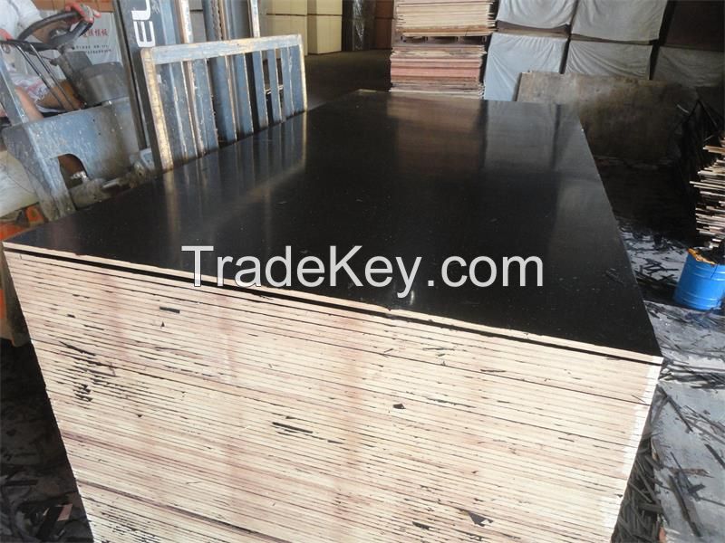 film faced plywood/shuttering board/construction board