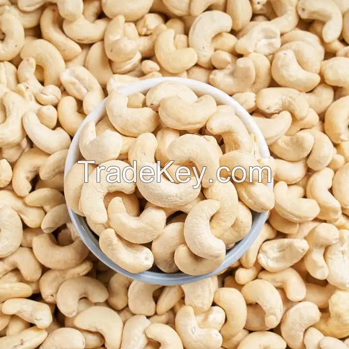 Best Price!! Raw Cashew Nuts w320 w240 with high quality