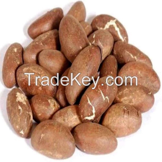  bitter kola nuts