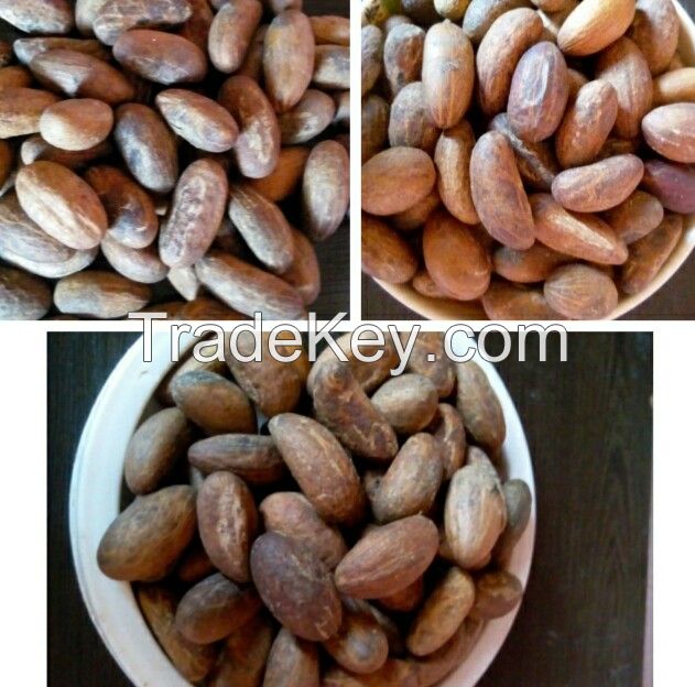 bitter kola nuts