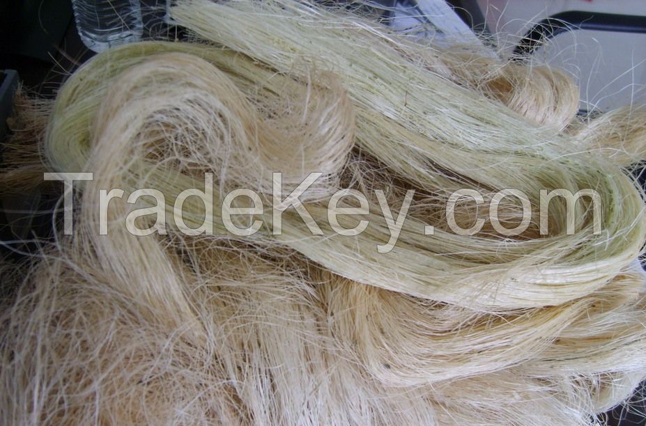 Natural Raw Sisal Fiber