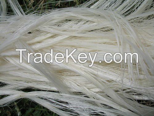 GradeA Sisal Fiber (Kenya)