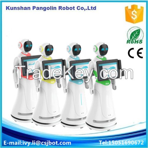 Multi-function smart humanoid service robot in airport consulting information