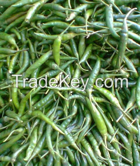 fresh green chilli