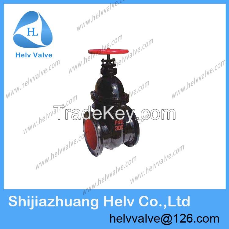 gate valve 