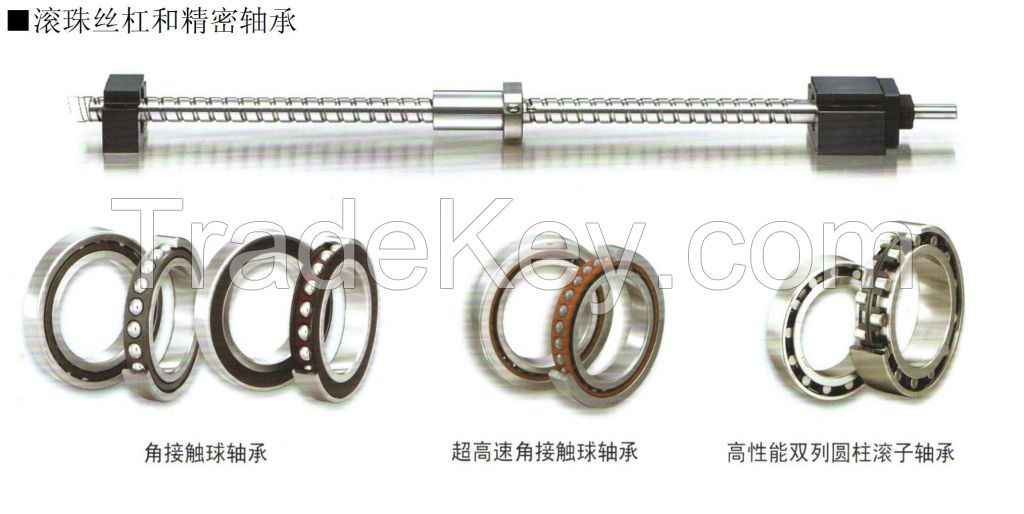 Ball Screws/Precision bearing