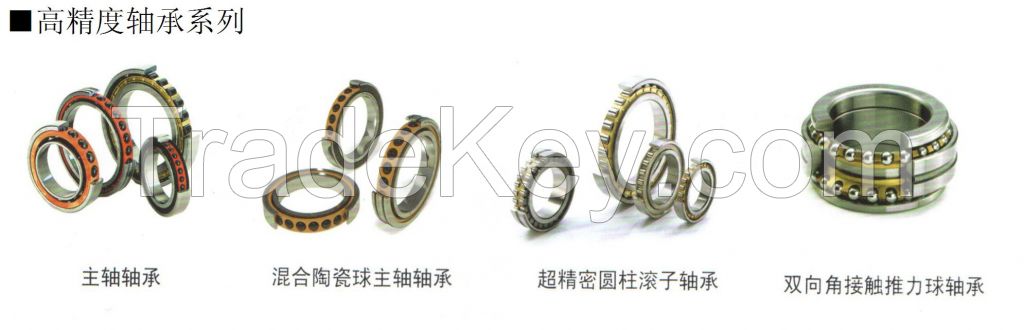 High precision bearing series