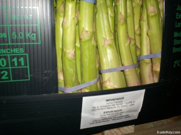 ASPARAGUS IN BOXES