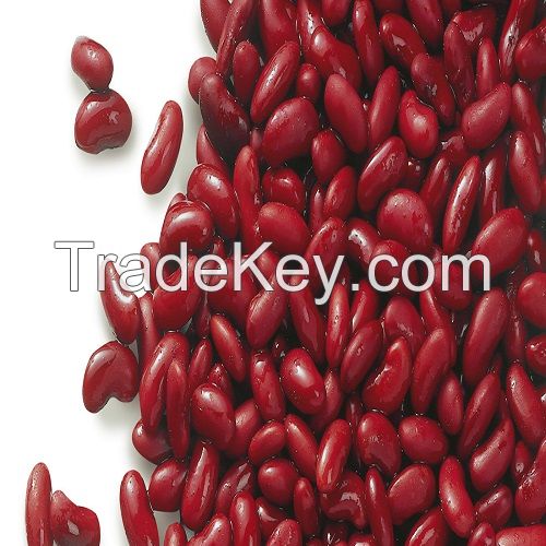 Kidney Beans