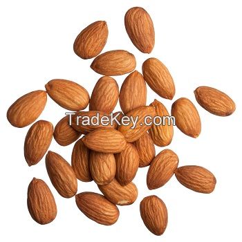 Almond Nuts