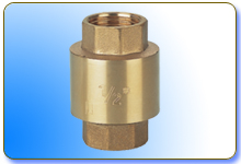 check valve