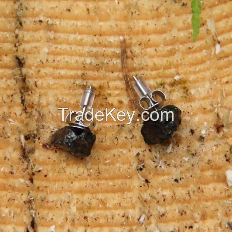 Elite shungite stud earrings