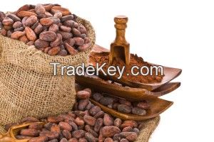 Cacao