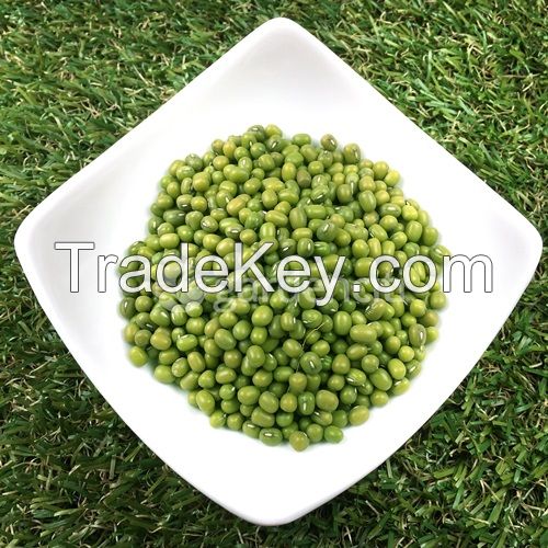 Organic Mung Bean