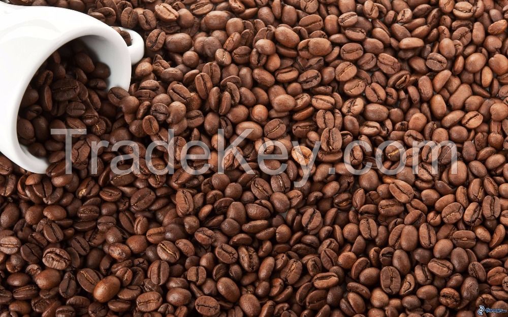 grade A Robusta Coffee Beans